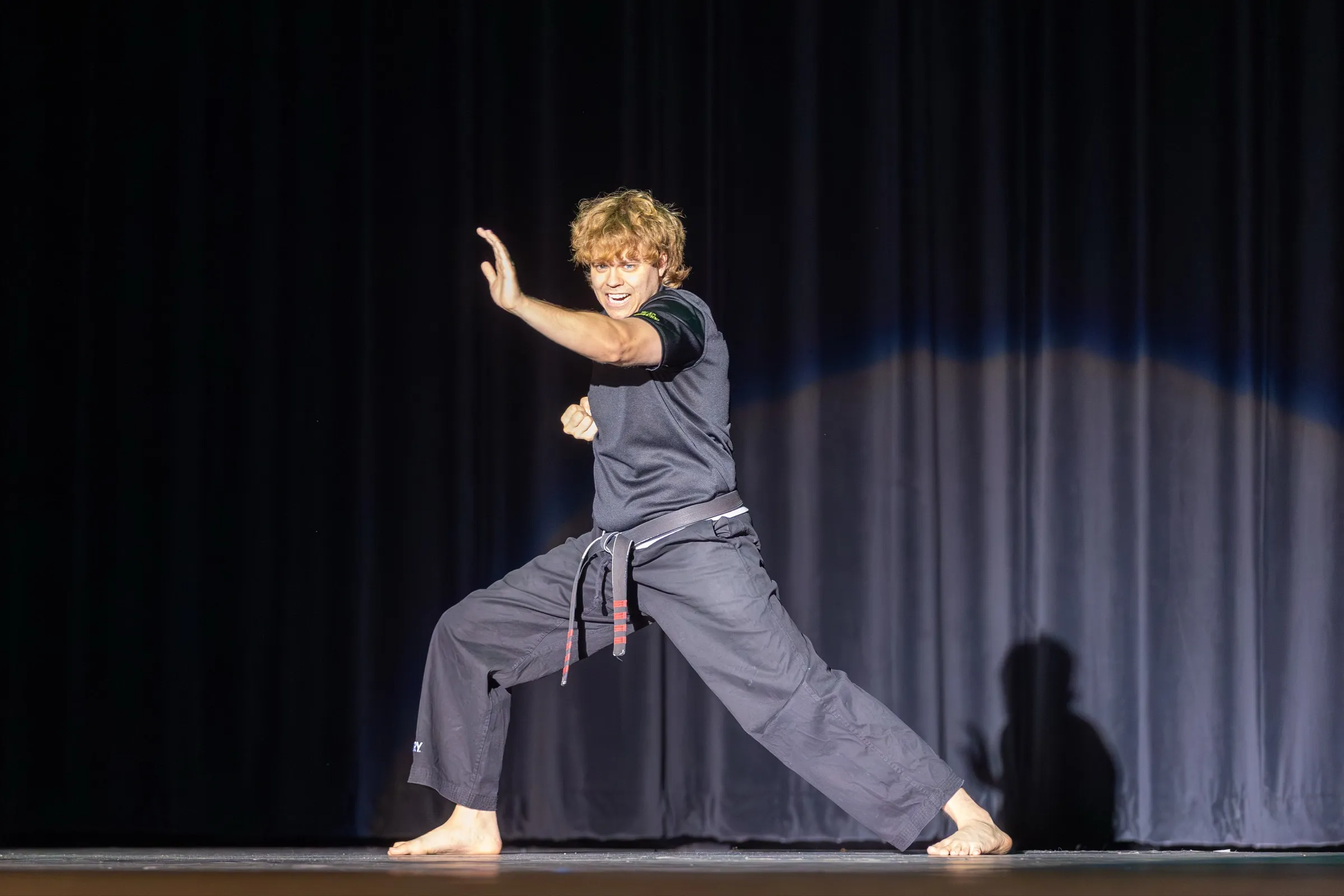 A karate demonstration on stage: a fighting stance held under a single spotlight against a dark curtain.